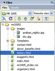 filespanel